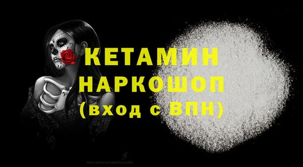СК Пересвет
