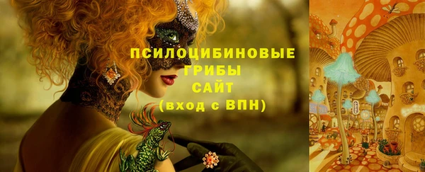 прущий лед Переславль-Залесский