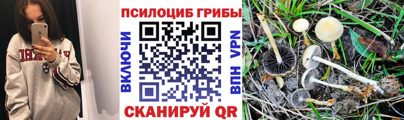 kraken маркетплейс закладка Лениногорск Галлюциногенные грибы ЛСД